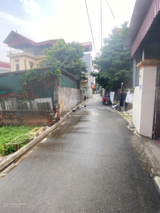 (Chính Chủ 100% cần bán GẤP) Bán đất Xã Đa Tốn, Gia Lâm, Hà Nội, giá bèo, 66 triệu / m2, 51.8 m2