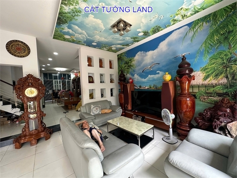 Bán Gấp! Biệt Thự ngay Chợ Tân Hương, Tân Phú – Giá Giảm 2 tỷ, cơ hội vàng cho khách mua thật sự