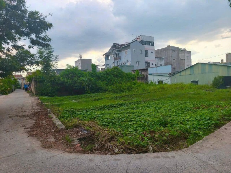 Cần bán đất KDC Bùi Thanh Khiết, TT. Tân Túc, Bình Chánh, TP.HCM
