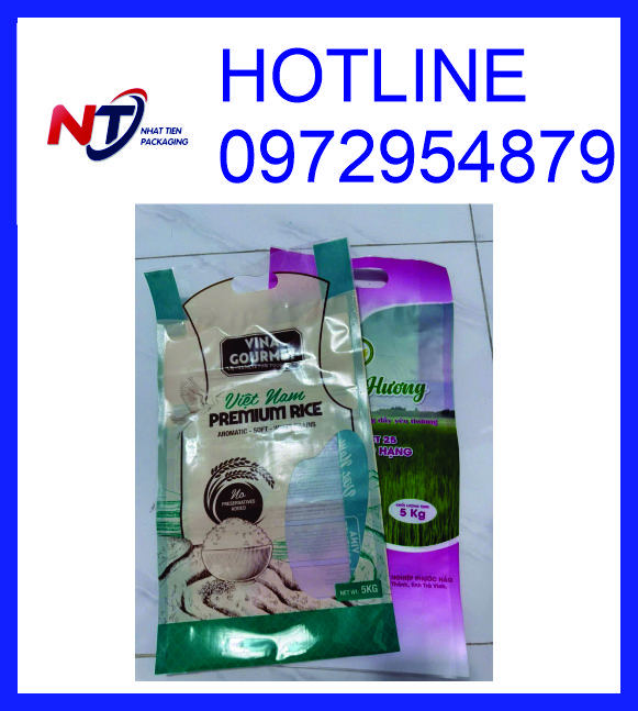 In túi đựng gạo 1kg 2kg 5kg 10kg giá rẻ tại TPHCM