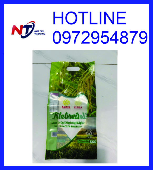 In túi đựng gạo 5kg giá rẻ tại Long An
