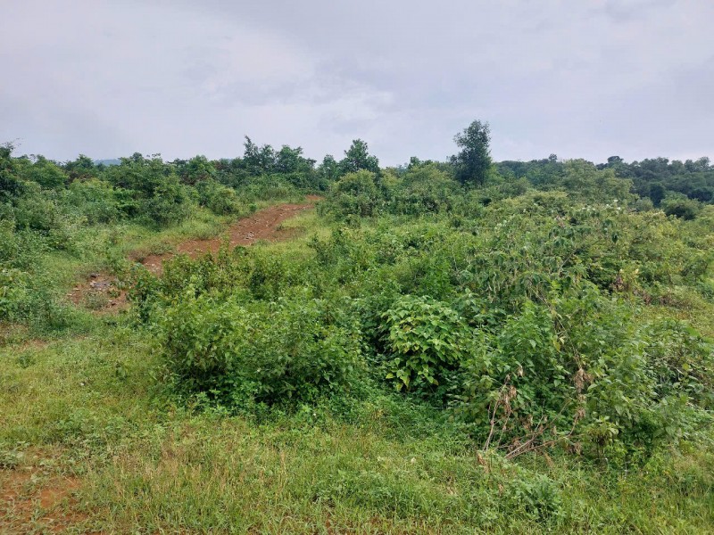CHÍNH CHỦ CẦN BÁN  2,5 ha ĐẤT BÁM SUỐI VIEW SIÊU ĐEP TẠI LƯƠNG SƠN – PHÚ THỌ