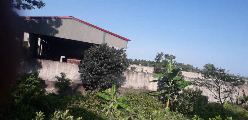 GẤP GẤP  –CHÍNH CHỦ CẦN BÁN LÔ ĐẤT VỊ TRÍ  tại  xã Hoằng Đạo, huyện Hoằng Hóa, tỉnh Thanh Hóa
