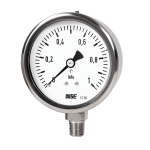 Đồng Hồ Wise P110, Đồng Hồ Wise, Đồng Hồ Áp Suất Wise, Đồng Hồ Đo Nhiệt Độ Wise, 