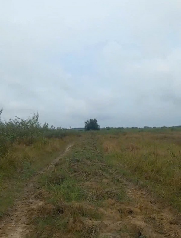 Cần bán đất 80 mẫu tại Vĩnh Cửu Đồng Nai  giá cả thương lượng với người có thiện chí mua