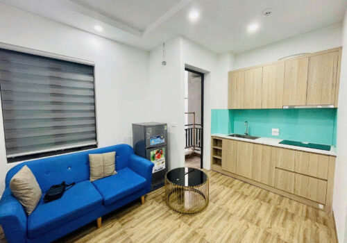 Nhượng căn hộ 1n1k nhỏ xinh tại 257 Trung Văn, Hà Đông, HN