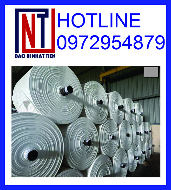 Cung cấp vải PP dệt dạng cuộn