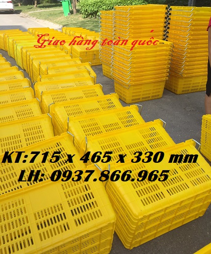 Sọt nhựa nguyên sinh có quai xách