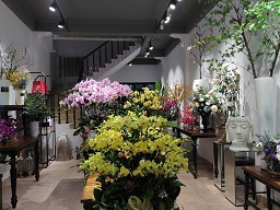 Cho thuê nhà văn phòng, cửa hàng, online, nhà mặt phố 101B Nguyễn Khuyến, Phường Văn miếu-Quốc tử