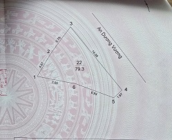 Bán đất tại Xã Long Phước, Huyện Long Hồ, Tỉnh Vĩnh Long – giá 1,15 tỷ