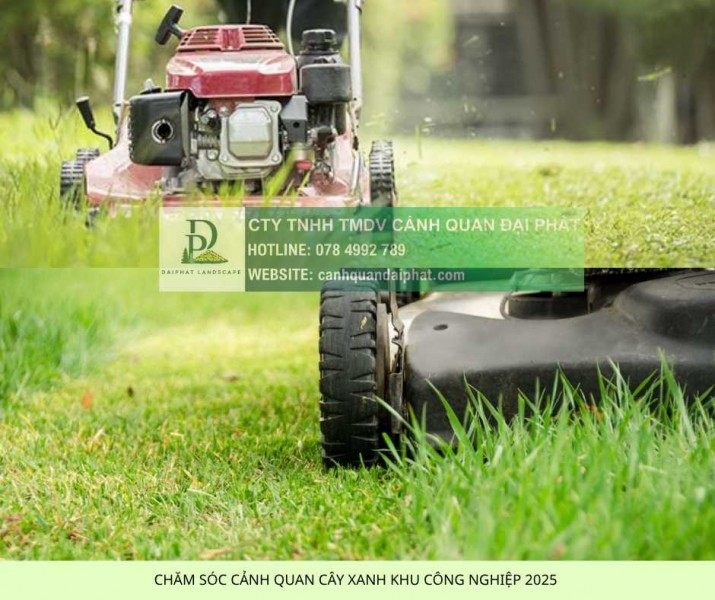 DỊCH VỤ BẢO DƯỠNG CẢNH QUAN KCN BIÊN HÒA: GIẢI PHÁP TIẾT KIỆM - UY TÍN 2025