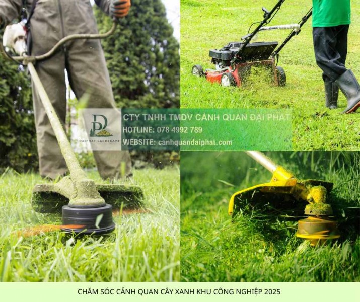 DỊCH VỤ BẢO DƯỠNG CẢNH QUAN KCN BIÊN HÒA: GIẢI PHÁP TIẾT KIỆM - UY TÍN 2025