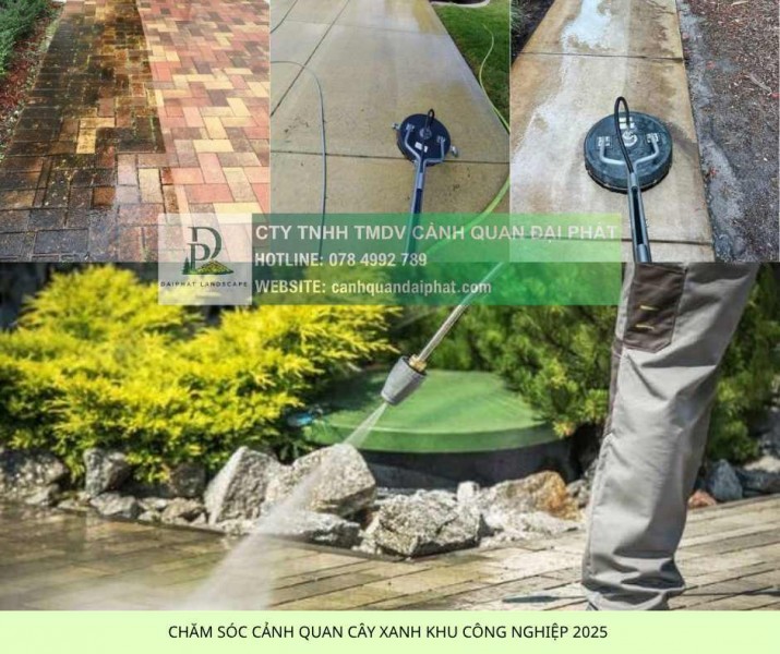 Dịch Vụ Chăm Sóc Cảnh Quan KCN Nhơn Trạch Đồng Nai Trọn Gói – Tối Ưu EHS & Tiết Kiệm Chi Phí!