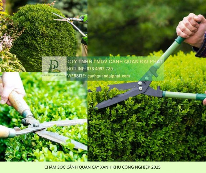 Dịch Vụ Chăm Sóc Cảnh Quan KCN Nhơn Trạch Đồng Nai Trọn Gói – Tối Ưu EHS & Tiết Kiệm Chi Phí!