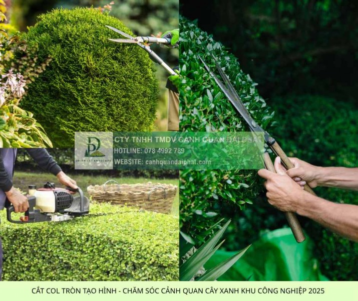 DỊCH VỤ CHĂM SÓC CẢNH QUAN KCN LỘC AN BÌNH SƠN TRỌN GÓI - GIÁ ƯU ĐÃI