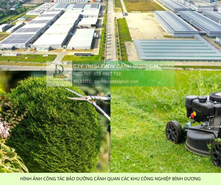 DỊCH VỤ CHĂM SÓC CẢNH QUAN KCN VSIP 1 BÌNH DƯƠNG TRỌN GÓI DPL 