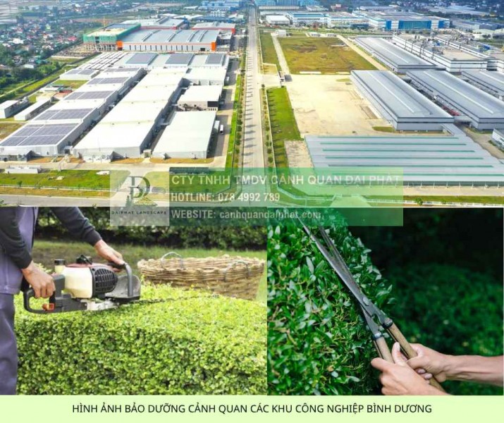 DỊCH VỤ CHĂM SÓC CẢNH QUAN KCN VSIP 1 BÌNH DƯƠNG TRỌN GÓI DPL 