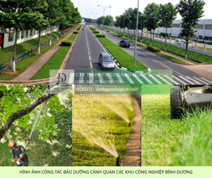 DỊCH VỤ CHĂM SÓC CẢNH QUAN KCN VSIP 1 BÌNH DƯƠNG TRỌN GÓI DPL 