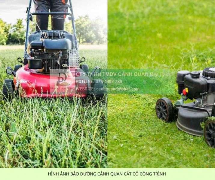 DỊCH VỤ CẮT CỎ KHU CÔNG NGHIỆP CHUYÊN NGHIỆP