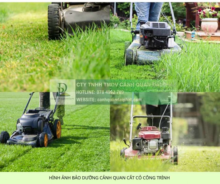 DỊCH VỤ CẮT CỎ KHU CÔNG NGHIỆP CHUYÊN NGHIỆP