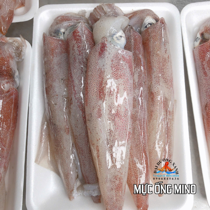 Mực ống mino tươi ngon