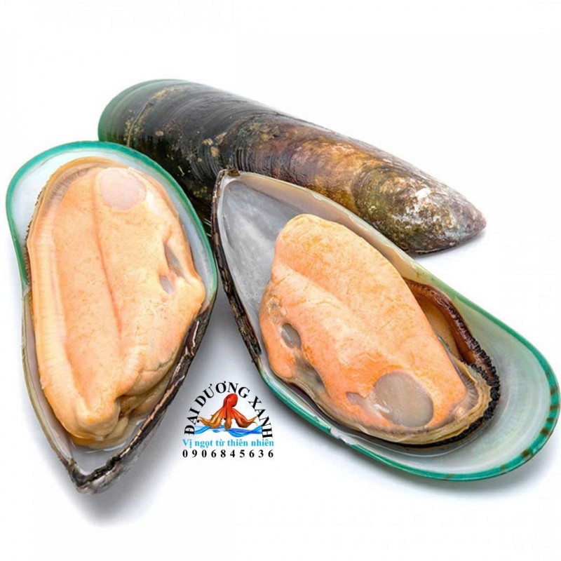 Vẹm Xanh Newzealand – Siêu Thực Phẩm Tốt Cho Sức Khỏe Từ Đại Dương