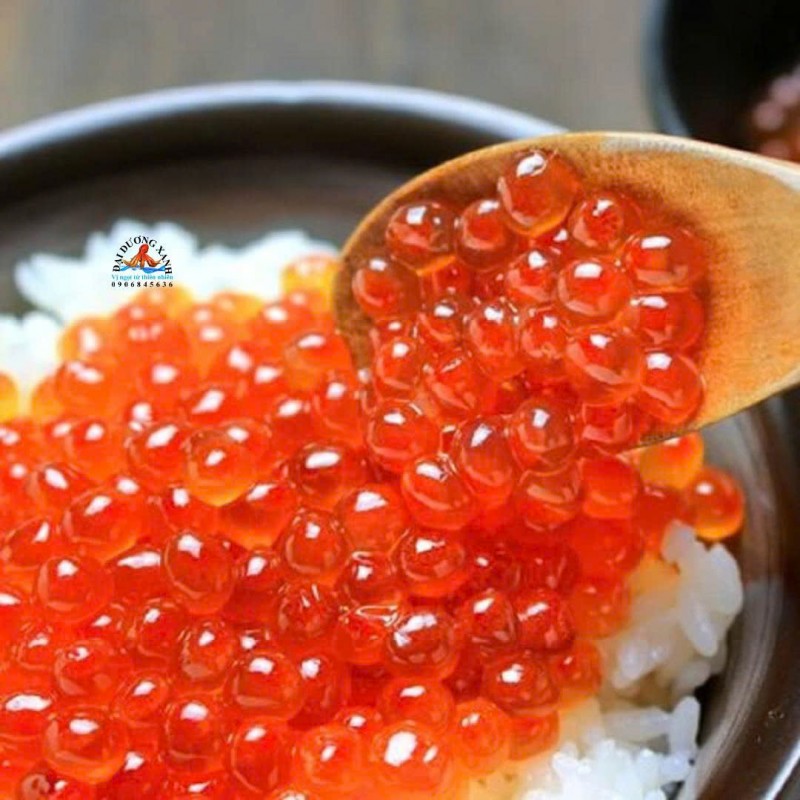 Trứng cá hồi – siêu thực phẩm giàu Omega-3 cho mọi gia đình