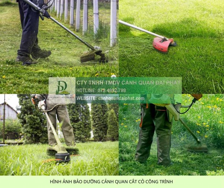 Dịch Vụ Cắt Cỏ Bằng Dây Cước – Nhận Thi Công Nhanh Tại TPHCM Và Đồng Nai