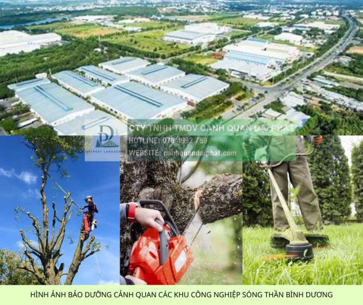 DỊCH VỤ BẢO TRÌ CẢNH QUAN TẠI ĐỒNG NAI 078 4992 789