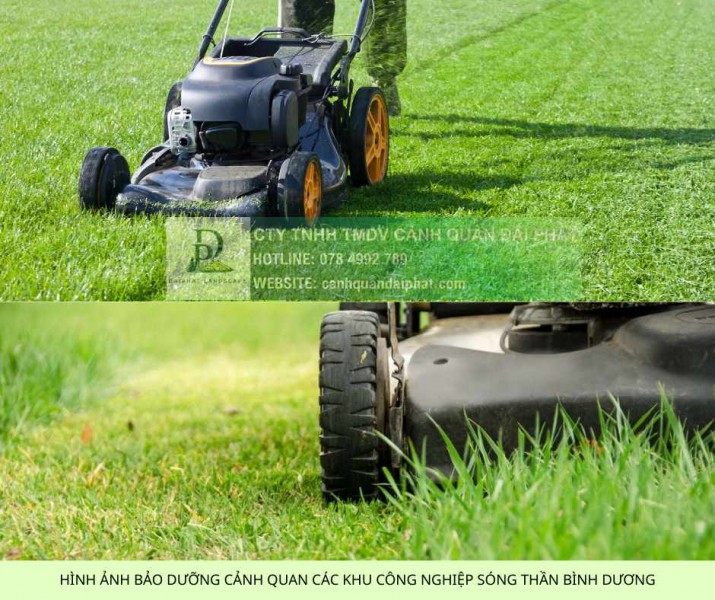 DỊCH VỤ BẢO TRÌ CẢNH QUAN TẠI ĐỒNG NAI 078 4992 789