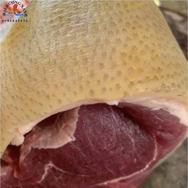 Giá Trị Dinh Dưỡng Tuyệt Vời Trong Thịt Heo Rừng