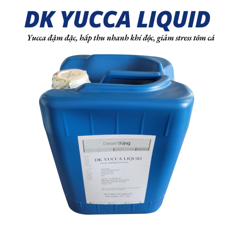 DK YUCCA LIQUID – CHIẾT XUẤT YUCCA DẠNG LỎNG DÙNG TRONG NUÔI TRỒNG THỦY SẢN