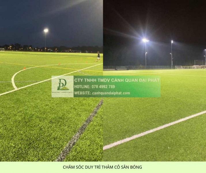 Dịch vụ chăm sóc thảm cỏ sân bóng tại TP.HCM, Đồng Nai