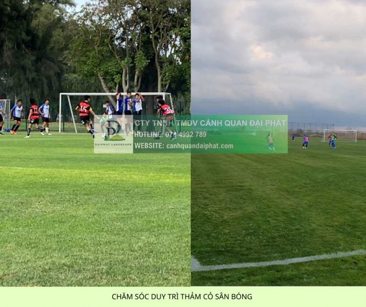 Dịch vụ chăm sóc thảm cỏ sân bóng tại TP.HCM, Đồng Nai