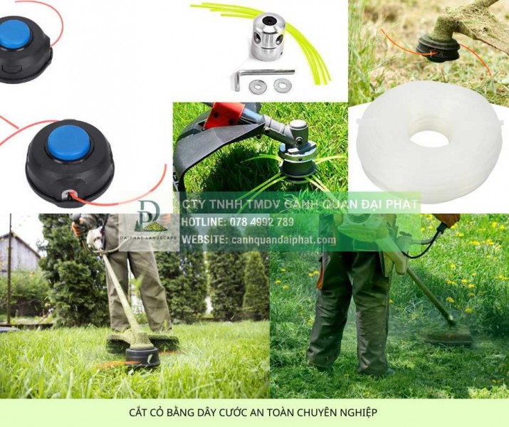 Bảo dưỡng cảnh quan KCN Nhơn Trạch 1 Đồng Nai uy tín, chuyên nghiệp