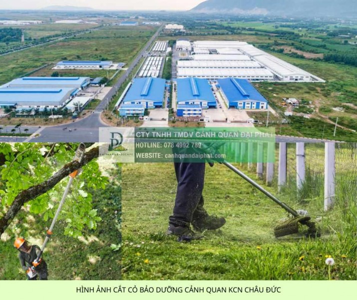 DỊCH VỤ CẮT CỎ KCN CHÂU ĐỨC BÀ RỊA VŨNG TÀU
