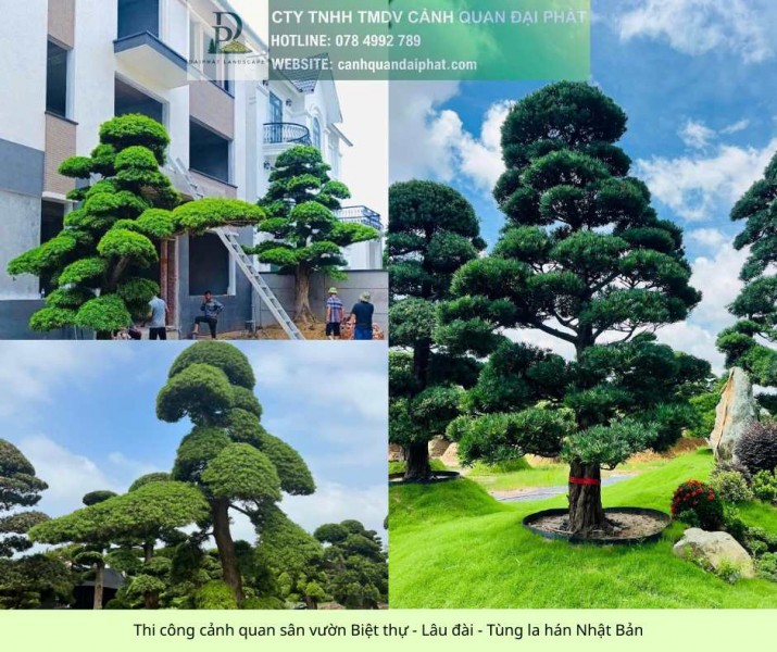 Thi Công Cảnh Quan Sân Vườn Biệt Thự Trọn Gói – Liên Hệ Ngay Để Nhận Báo Giá