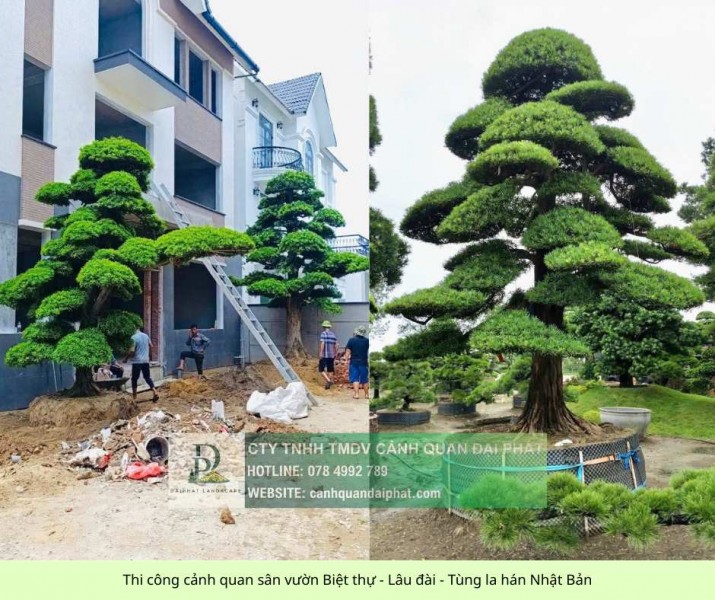 Thi Công Cảnh Quan Sân Vườn Biệt Thự Trọn Gói – Liên Hệ Ngay Để Nhận Báo Giá