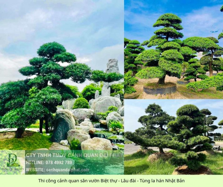 Thi Công Cảnh Quan Sân Vườn Biệt Thự Trọn Gói – Liên Hệ Ngay Để Nhận Báo Giá