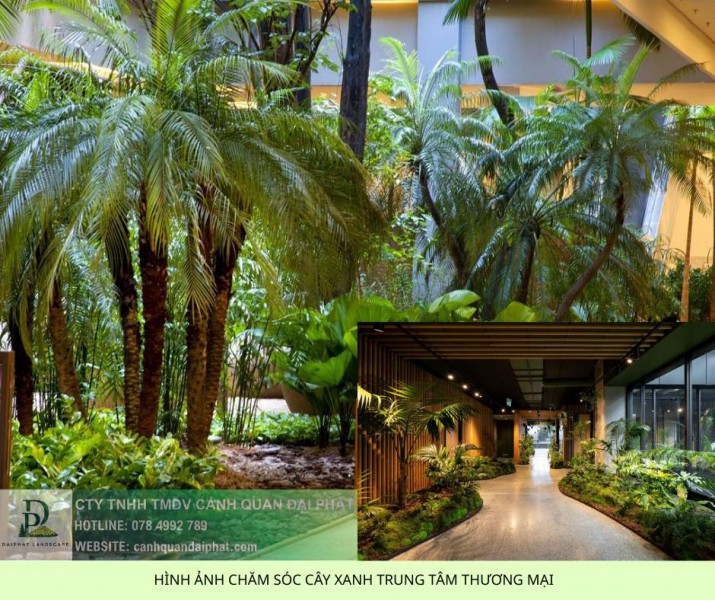 CHĂM SÓC CÂY XANH TRUNG TÂM THƯƠNG MẠI