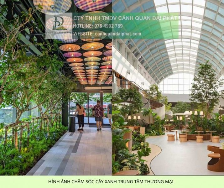 CHĂM SÓC CÂY XANH TRUNG TÂM THƯƠNG MẠI