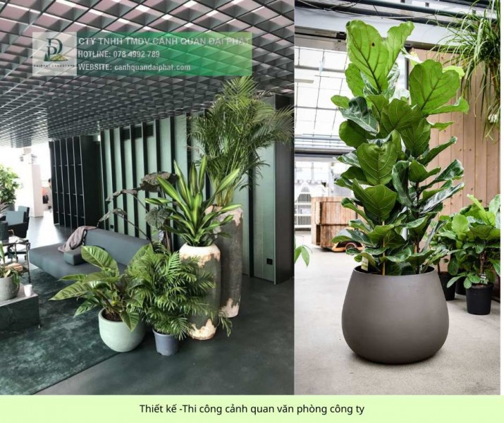 DỊCH VỤ THIẾT KẾ & THI CÔNG CÂY XANH CÔNG TRÌNH THƯƠNG MẠI TẠI TP.HCM