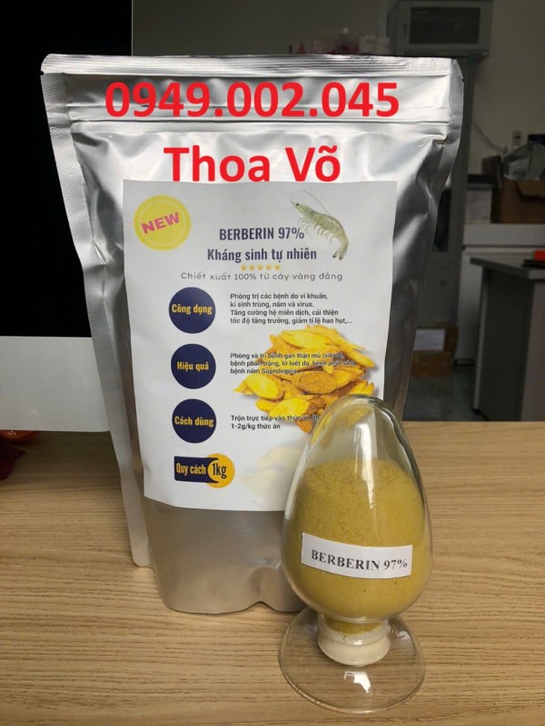 Vàng Đắng Berberin 97% – Trị Phân Lỏng, Kháng Khuẩn Đường Ruột Tôm Cá