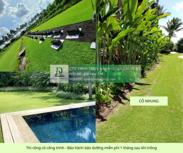 Trồng cỏ dự án Khu công nghiệp Đồng Nai - Bảo hành bảo dưỡng 1 tháng miễn phí