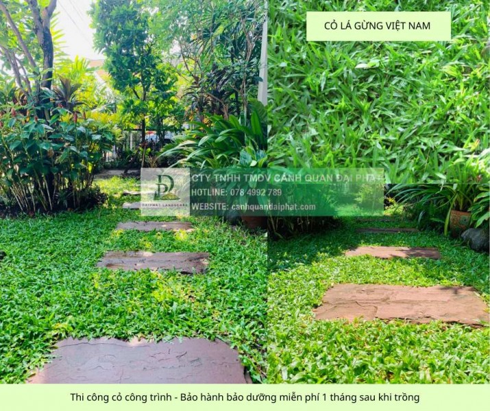 Trồng cỏ dự án Khu công nghiệp Đồng Nai - Bảo hành bảo dưỡng 1 tháng miễn phí