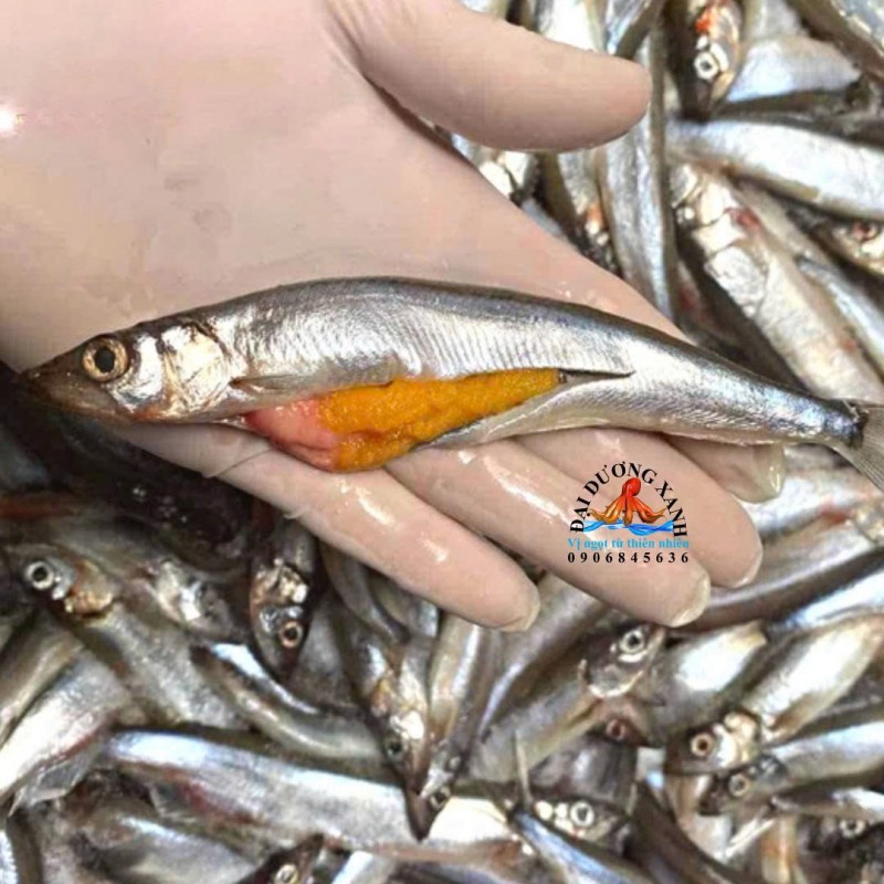 Cá Trứng Nauy Có Phù Hợp Cho Trẻ Em Và Người Lớn Tuổi?