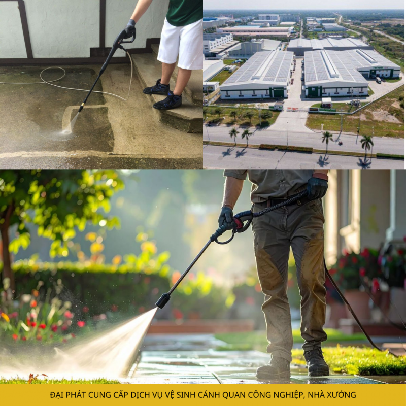 Báo giá cho thuê nhân công chăm sóc cây xanh mới nhất 2026