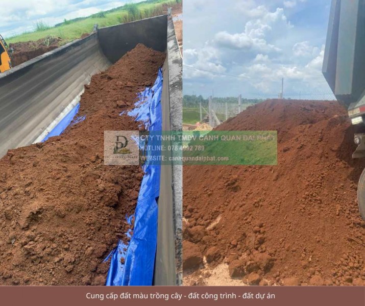 Cung cấp đất trồng cây công trình Đồng Nai TPHCM 2026