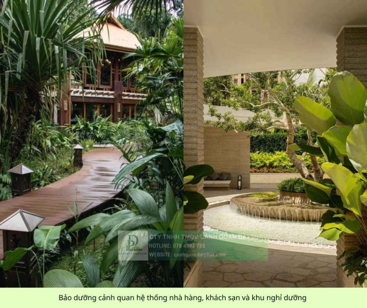 Chăm sóc cảnh quan chung cư, khu nghỉ dưỡng cao cấp 2026