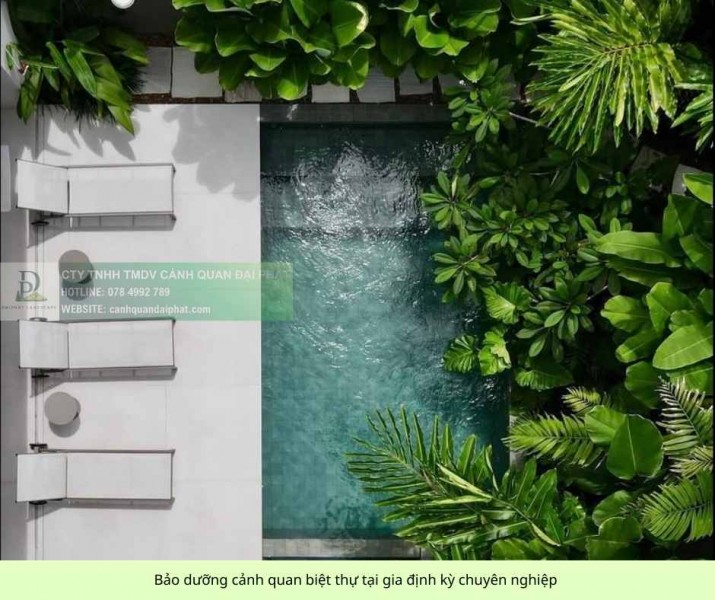 Chăm sóc cảnh quan chung cư, khu nghỉ dưỡng cao cấp 2026